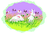 Two bunnies in a field of flowers