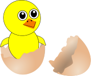 A chick in an eggshell