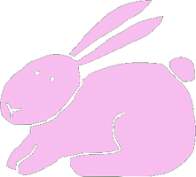 A pink bunny rabbit